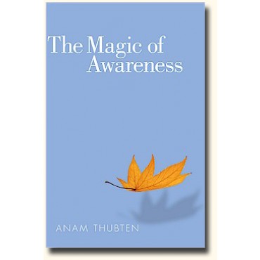 The magic of awareness cover